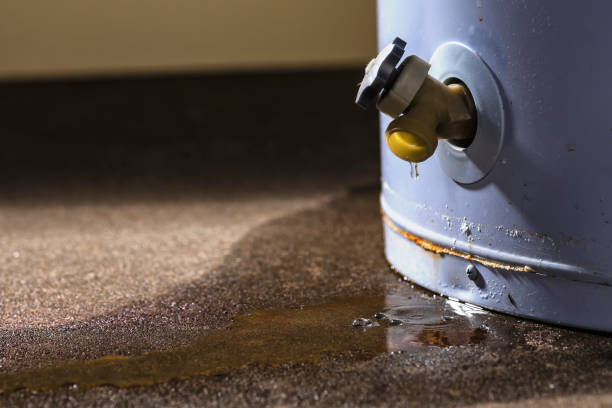 Best 24-hour water damage restoration  in Roscommon, MI