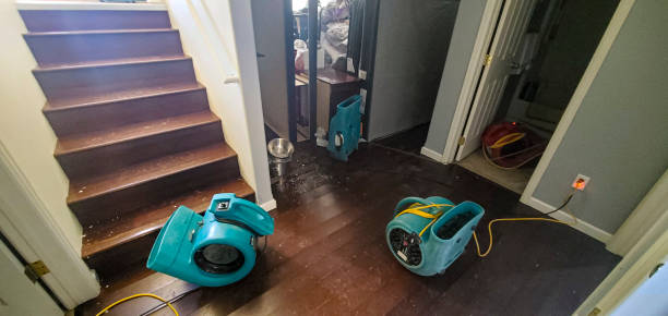Best Ceiling water damage repair  in Roscommon, MI