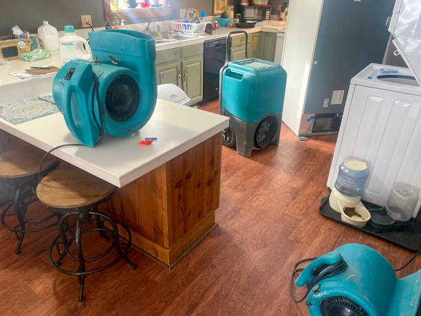 Best Fire Damage Restoration  in Roscommon, MI