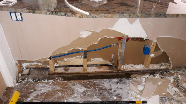 Best Emergency water damage restoration  in Roscommon, MI