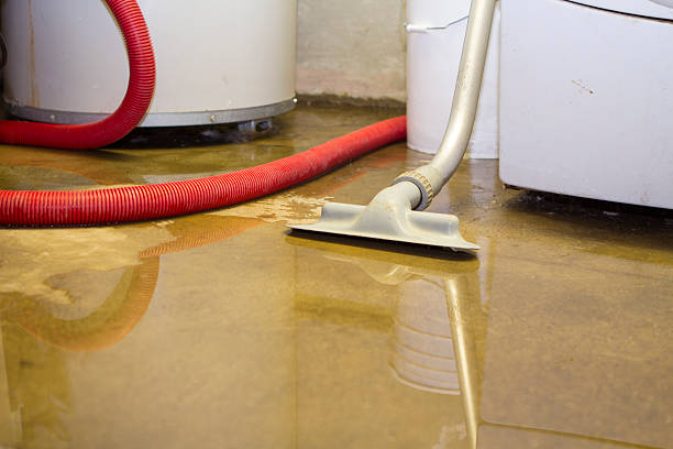 Best Flood damage cleanup  in Roscommon, MI