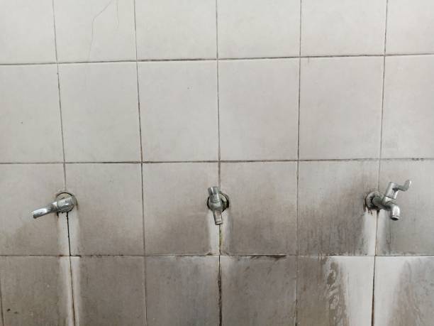 Best Flooded house restoration  in Roscommon, MI