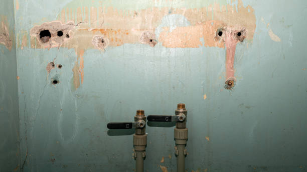 Best Water damage cleanup near me  in Roscommon, MI