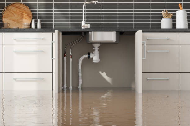 Best Residential water damage restoration  in Roscommon, MI