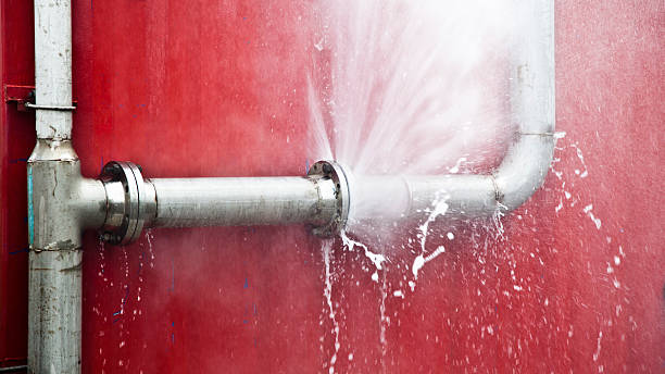 Best Water damage contractors near me  in Roscommon, MI